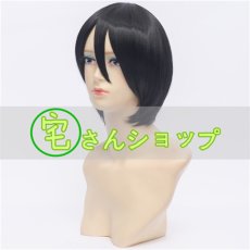 画像2: 銀魂 志村新八 ルフィ 越前龍馬  コスプレウイッグ  wig (2)