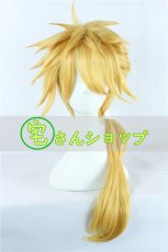 画像1: 刀剣乱舞 獅子王 コスプレウイッグ  wig (1)