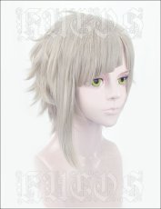 画像2: 文豪ストレイドッグス 中島敦 コスプレウイッグ  wig (2)