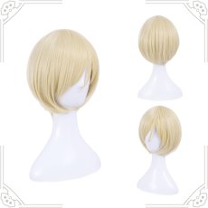 画像5: ユーリ!!! on ICE ユーリ・プリセツキー  コスプレウイッグ wig  (5)