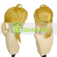 画像3: ゼルダの伝説 ブレス オブ ザ ワイルド リンク コスプレウィッグ かつら cosplay wig 耐熱ウィッグ  専用ネット付   (3)