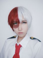 画像1: 僕のヒーローアカデミア 轟焦凍 とどろき しょうと ショート コスプレウィッグ かつら cosplay wig 耐熱ウィッグ 専用ネット付 (1)