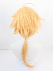 画像2: LIP×LIP 柴崎愛蔵 風   コスプレウィッグ かつら cosplay wig 耐熱ウィッグ  専用ネット付   (2)