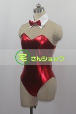 画像3: バニーガール コスチューム コスプレ衣装 (3)
