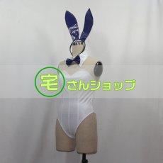 画像3: Fate/Grand Order FGO フェイト・グランドオーダー  スカサハ  バニーVer　風  コスチューム コスプレ衣装  オーダーメイド無料 (3)