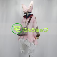 画像3: Fate/Grand Order FGO フェイト・グランドオーダー ハベトロット 風  コスチューム コスプレ衣装  オーダーメイド無料 (3)