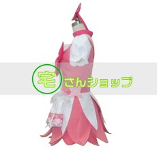 画像2: ハートキャッチ プリキュア キュアブロッサム 花咲つぼみ コスプレ衣装 (2)