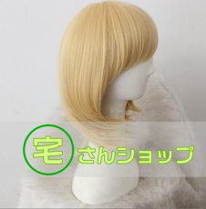 画像2: ハウルの動く城   ハウル   風  コスプレウィッグ かつら cosplay wig 耐熱ウィッグ  専用ネット付   (2)