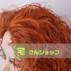 画像5: Brave  メリダとおそろしの森  プリンセス メリダ  風  コスプレウィッグ かつら cosplay wig 耐熱ウィッグ  専用ネット付   (5)