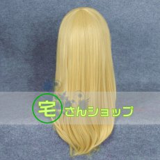 画像4: 不思議の国のアリス アリス Alice 風  コスプレウィッグ かつら cosplay wig 耐熱ウィッグ  専用ネット付   (4)