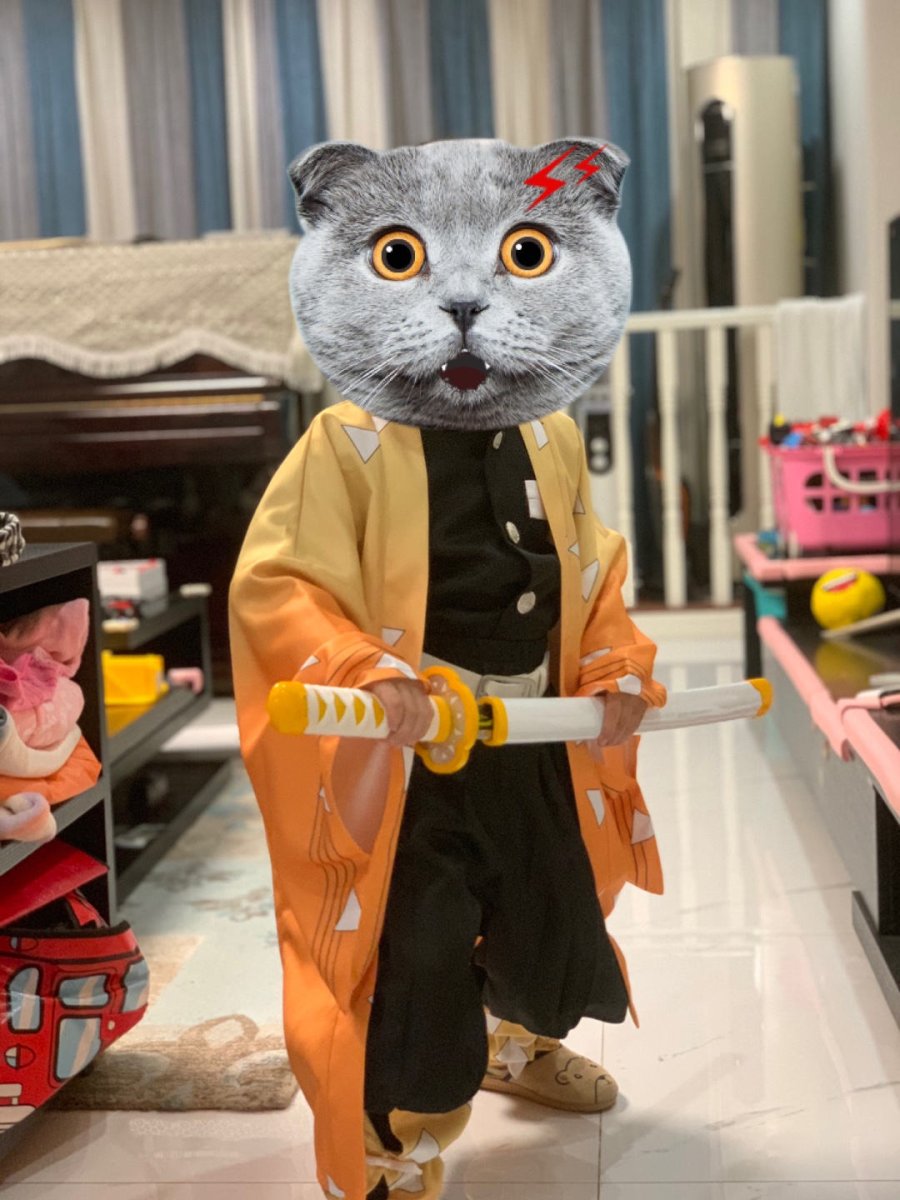 画像8: 鬼滅の刃 我妻善逸 成人 子供向 コスチューム コスプレ衣装 (8)