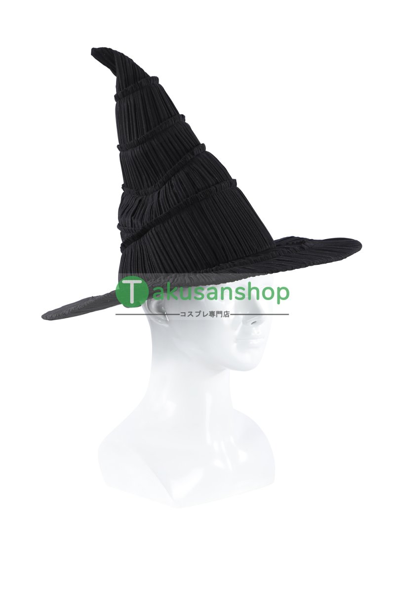 画像26: Wicked ウィキッド ふたりの魔女  映画  エルファバ  風 コスチューム コスプレ衣装  オーダーメイド (26)