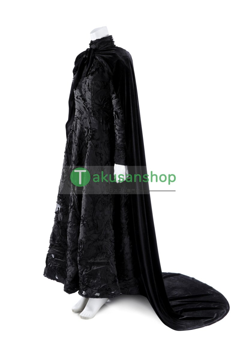 画像5: Wicked ウィキッド ふたりの魔女  映画  エルファバ  風 コスチューム コスプレ衣装  オーダーメイド (5)