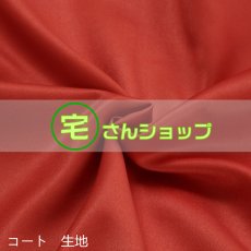 画像10: にじさんじプロジェクト Luxiem Mysta Rias ミスタ・リアス SakuraBloom 風 Vtuber コスチューム コスプレ衣装 オーダーメイド (10)