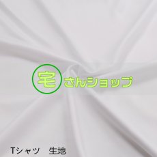 画像11: にじさんじプロジェクト Luxiem Mysta Rias ミスタ・リアス SakuraBloom 風 Vtuber コスチューム コスプレ衣装 オーダーメイド (11)