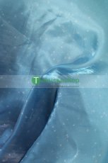 画像30: LoveLive!Superstar!! ラブライブ！スーパースター!!  Liella!  唐可可 タンクゥクゥ  澁谷かのん　嵐千砂都　平安名すみれ　葉月恋　桜小路きな子　米女メイ　若菜四季　鬼塚夏美　鬼塚冬毬　ウィーン・マルガレーテ  風 コスチューム コスプレ衣装 オーダーメイド (30)