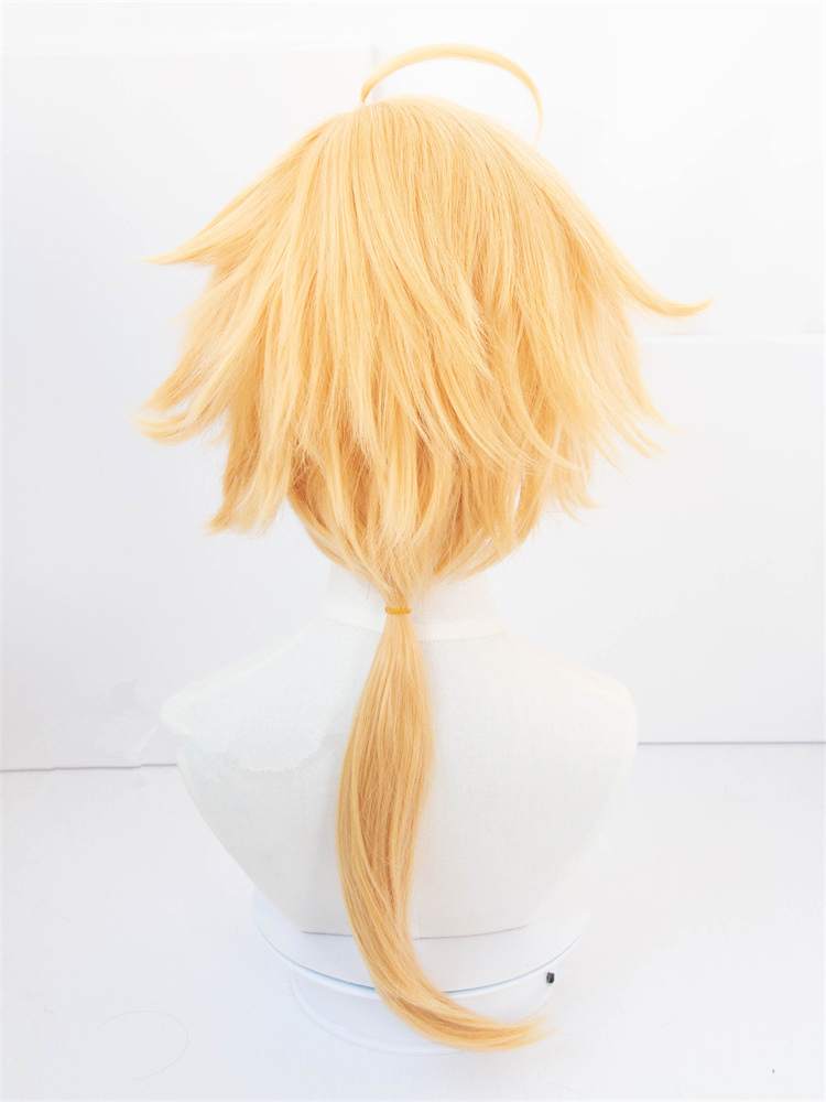 LIP×LIP 柴崎愛蔵 風 コスプレウィッグ かつら cosplay wig 耐熱ウィッグ 専用ネット付